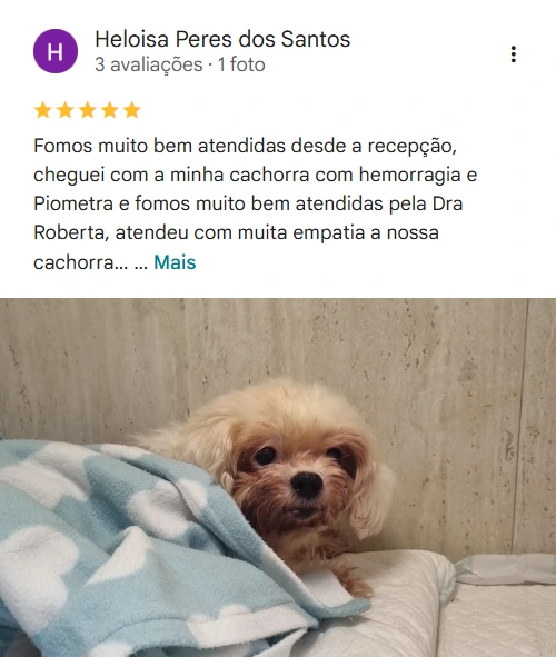 Avaliação 5 estrelas
