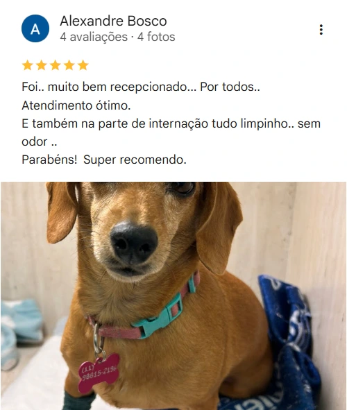 Avaliação 5 estrelas