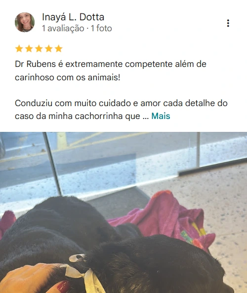 Avaliação 5 estrelas