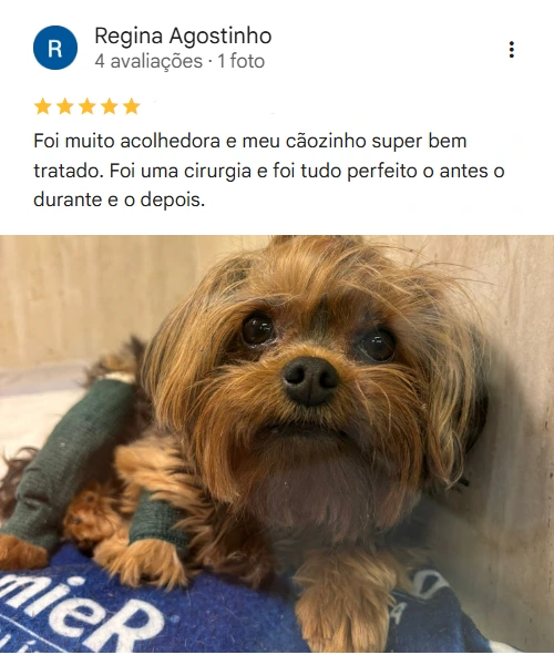 Avaliação 5 estrelas
